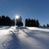 2015_12